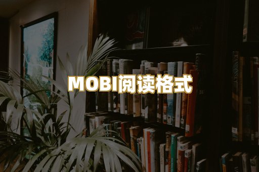 MOBI阅读格式